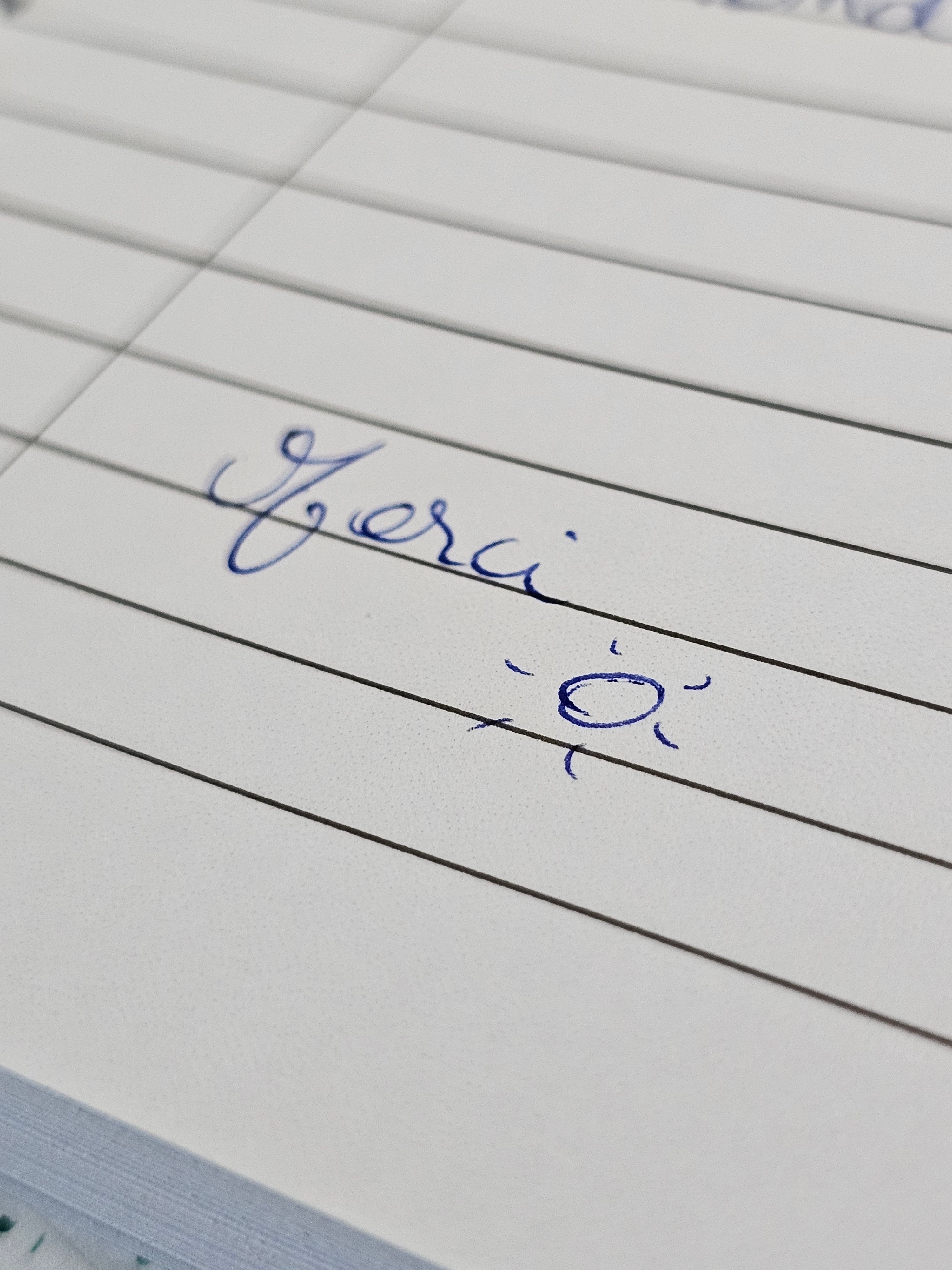 Carnet de note - Envol