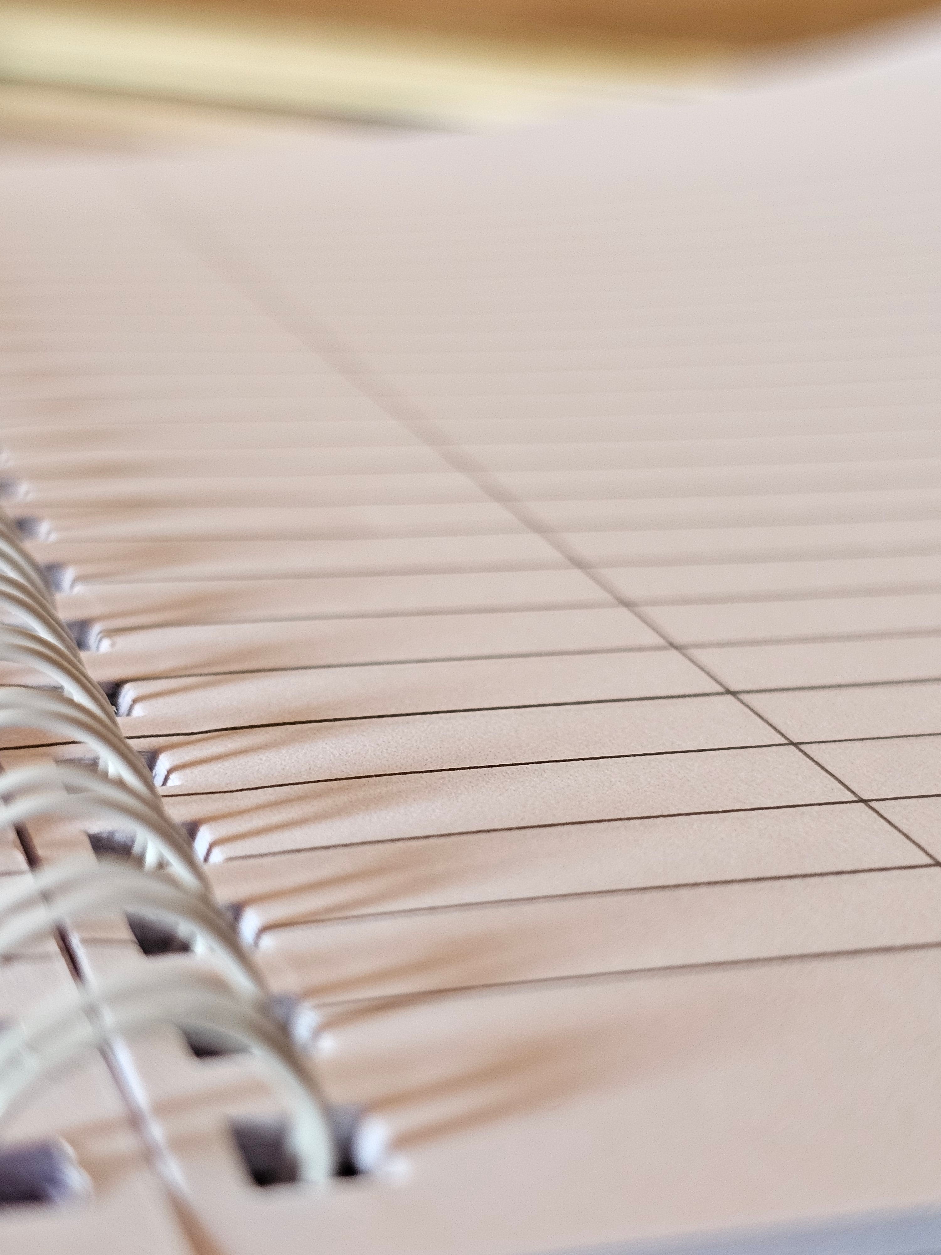 Carnet de notes - Feuillages